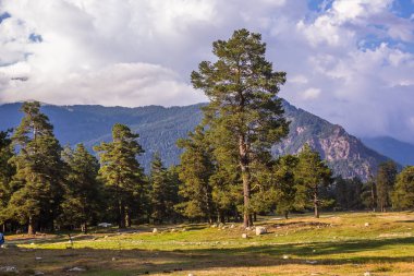 Rusya 'da nefes kesici manzara