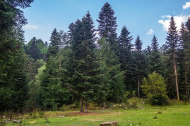 Rusya 'da nefes kesici manzara