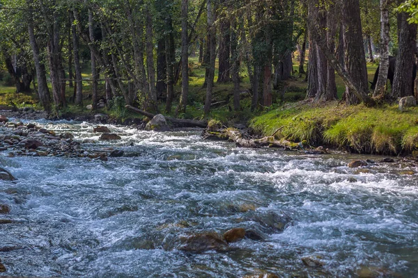 Spännande Landskap Ryssland — Stockfoto