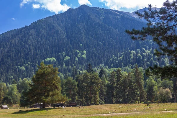 Rusya 'da nefes kesici manzara