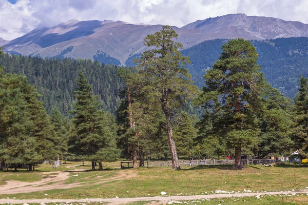 Rusya 'da nefes kesici manzara