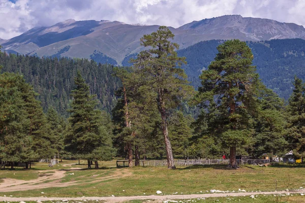 Rusya 'da nefes kesici manzara