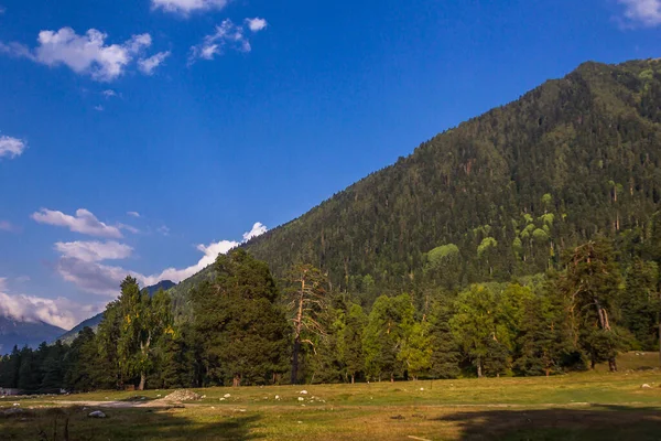 Rusya 'da nefes kesici manzara