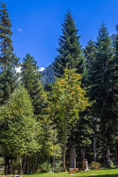 Adembenemend Landschap Rusland — Stockfoto