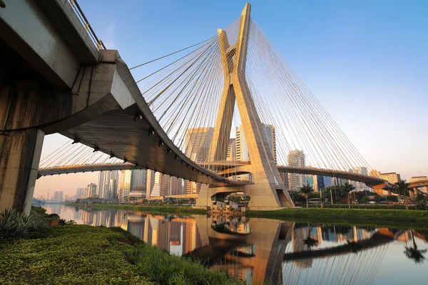 Brazília - Sao Paulo - Estaiada híd Jogdíjmentes Stock Képek