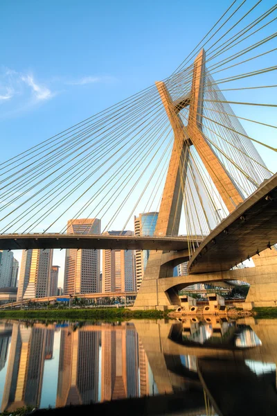 Estaiada brug in sao paulo — Stockfoto