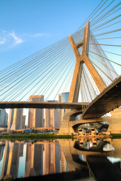 Puente Estaiada en Sao Paulo Imagen De Stock