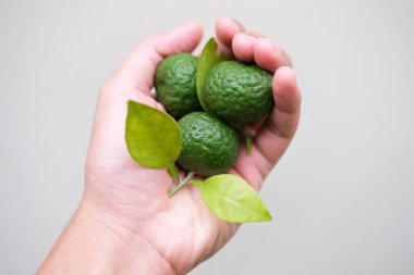 Elinde limon meyvesi (jeruk limau))