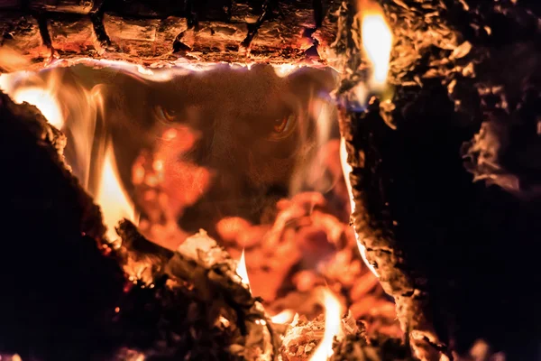 Kachel die branden brandhout — Stockfoto