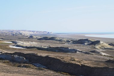 Özbekistan 'da çevre felaketi Aral Denizi' ni kuruttu