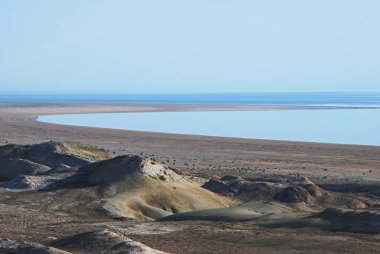 Özbekistan 'da çevre felaketi Aral Denizi' ni kuruttu