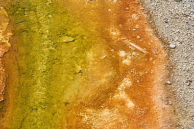 Sarı yeşil ve kahverengi Dünya Yellowstone Parkı 'ndaki bakteriler tarafından renklendirildi.