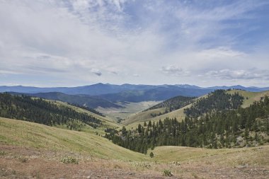 Montana 'daki ormanlı tepelerin üzerinden Ulusal Bizon Dağları' nın yakınlarına bak.
