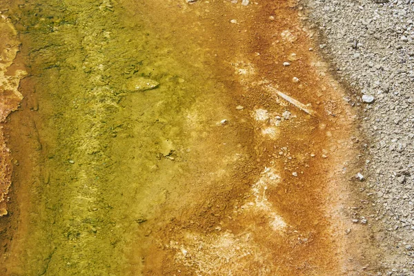Sarı yeşil ve kahverengi Dünya Yellowstone Parkı 'ndaki bakteriler tarafından renklendirildi.