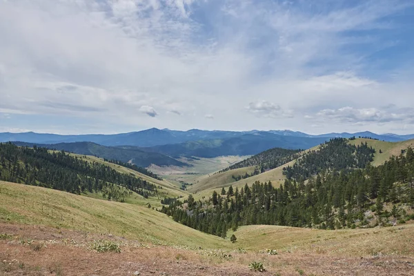 Blick Über Bewaldete Hügel Montana Nahe Der Nationalen Bisonkette — Stockfoto