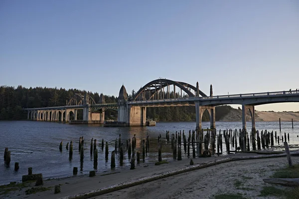 Ponte Sul Fiume Siuslaw Firenze Oregon Luce Serale — Foto Stock