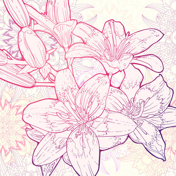 Vector hand drawn lineart illustration of Lily flowers on mandala background
