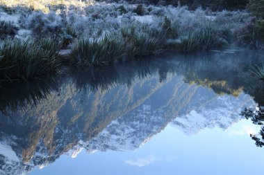 Yeni Zelanda 'daki Refleks