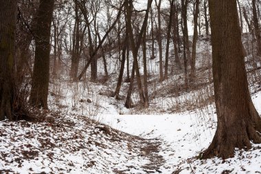 Parkta ilkbahar başları