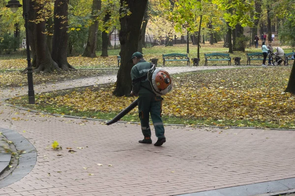 Kamu hizmeti çalışanı parktaki yaprakları temizler