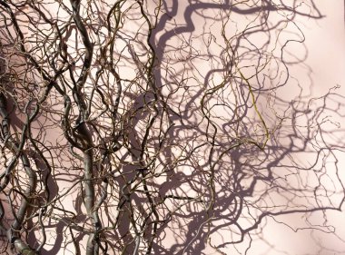 Dalgalı söğüt dallarının dekoru