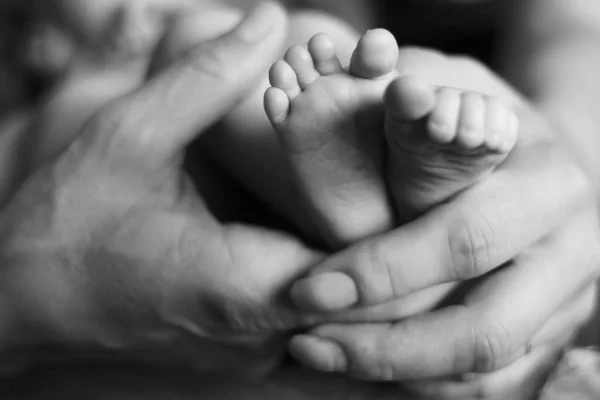 Annenin elleri küçük bebek bacakları tutuyor.