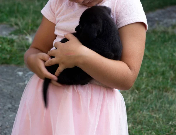 Pembe elbiseli küçük kız elinde siyah bir köpek yavrusu
