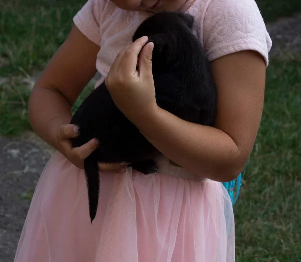 ピンクのドレスの女の子が黒い子犬を持っていて — ストック写真