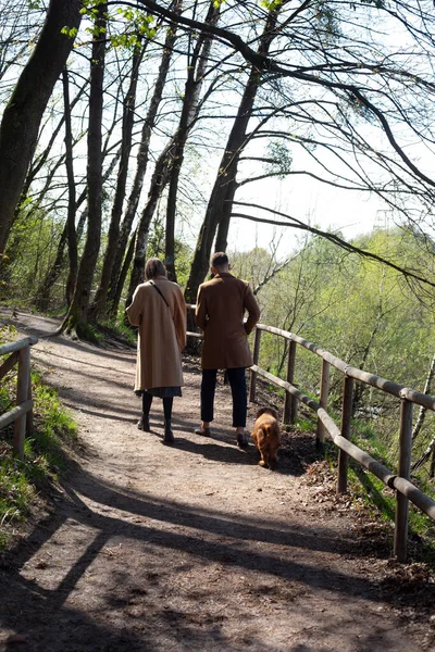 Casal Amoroso Com Cão Andando Parque Dia Ensolarado Primavera — Fotografia de Stock