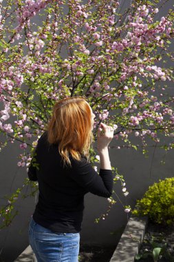 Pembeli küçük ağaç sakura, kadın, kiliseye giden merdivenler.