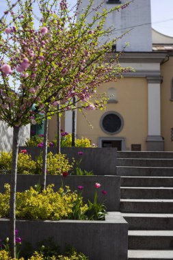 Küçük ağaçlar pembeleşmiş. Kiliseye gidiyorlar.