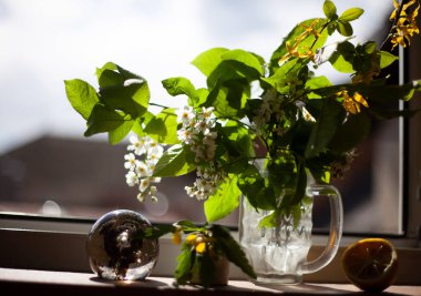 Pencere kenarında hayat, beyaz kiraz, cam top