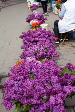 Çiçek pazarında leylak buketleri