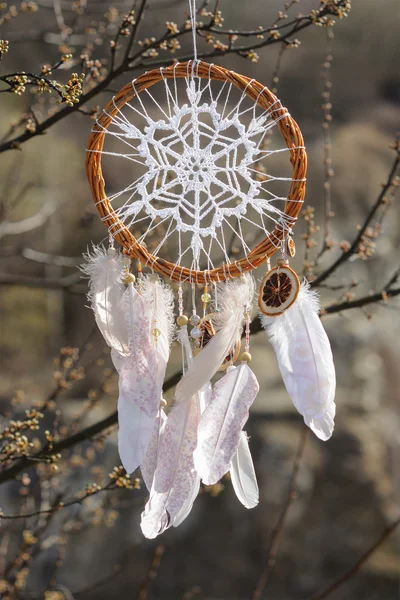Handmade dream catcher with white doily on background of branche — Stock Photo, Image