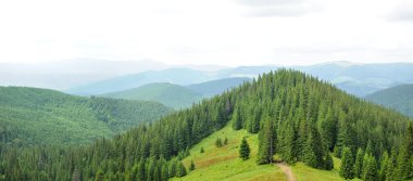 Güzel dağ orman Panoraması