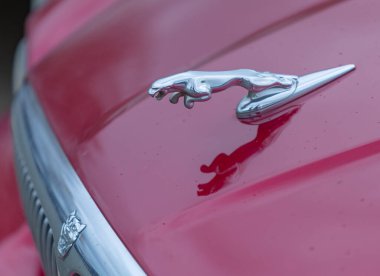 White Rock, BC, Kanada-15 Kasım 2020. Kırmızı arabanın üstünde sıçrayan Jaguar simbol işareti var. Yaklaş. İllüstrasyon Editörü.