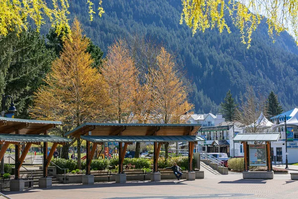 Harrison Hot Springs, BC, Kanada-15 Nisan 2021: Harrison Hot Springs köyü. Harrison Vilage Parkı 'nın sokak manzarası. Seyahat fotoğrafı, seçici odak noktası, turistik yerler.