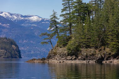 Kıyıdan Harrison Gölü 'ne kadar uzanan küçük bir ada ve güzel arka planda dağlar olan çam ağaçları. BC, Kanada. Seyahat fotoğrafı, sokak manzarası, konsept fotoğraf doğası.