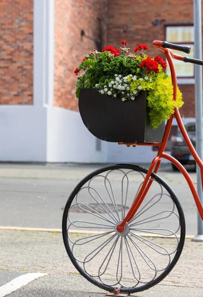 Rot Lackiertes Fahrrad Vorderrad Mit Einem Eimer Voller Bunter Blumen — Stockfoto