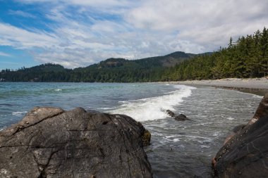 Arkasında köpüklü dalgalar ve kozalaklı ormanlar olan güzel bir sahil manzarası. Vancouver Adası, BC, Kanada. Sokak görünümü, seyahat fotoğrafı, kopyalama alanı, seçici odak