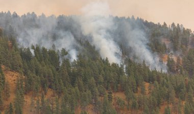 Orman yangını, doğa felaketi. BC, Kanada-23 Ağustos 2021 'deki Ulusal Park dağlarındaki bir orman yangınından duman yükseliyor. Seçici odak, sokak manzarası, seyahat fotoğrafı, konsept fotoğraf doğa felaketi