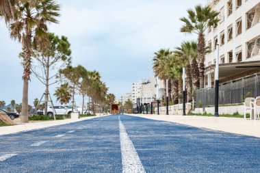 Bisikletler için paralel mavi şerit ve şehir parkında yürümek ve koşmak için lastik pist. Sahildeki atletizm pisti, fitness, sağlık, kentsel planlama. Yaz parkında koşu pisti