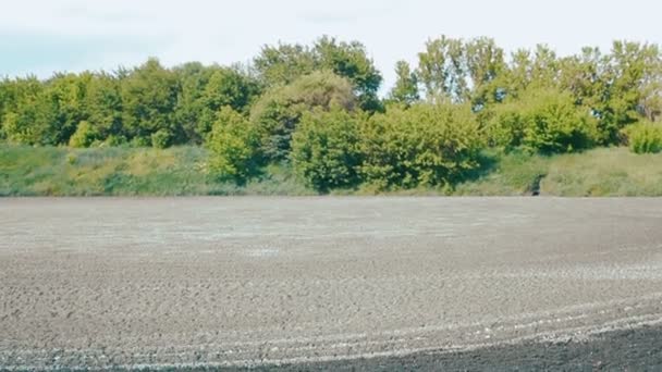 El desagüe en la industria. Secar las heces en fertilizante. Lago para el secado de aguas residuales . — Vídeos de Stock