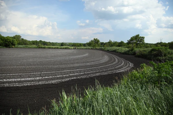 Kanalizasyon ile septik tank. Drenaj sanayi.