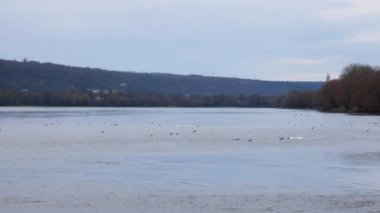 Ukrayna sınırı - Moldova. Kontrol noktası Yampil - Koseuts. Dinyester Nehri 'nden geçen feribot..