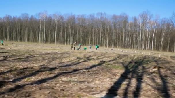 Vinnytsya Ukraine 2021年4月10日 种植新森林 森林砍伐后植树 幼树新生命 — 图库视频影像