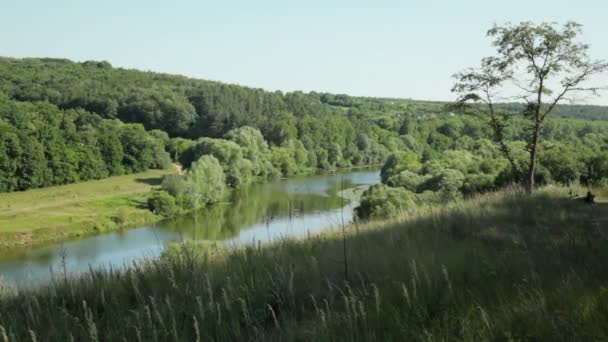 Natura ucraineană. Natură frumoasă pe malul Bug-ului de Sud. Râul curge din vestul Ucrainei în sud-estul stuarului Bug (bazinul Mării Negre) ) — Videoclip de stoc