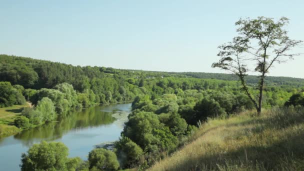 Beautiful nature on the shores of the Southern Bug. The river flows from the west of Ukraine in the south-east of the Bug Estuary (Black Sea basin) — Stock Video