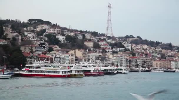 ISTANBUL, TURQUIE - février 2016 : Soirée du Bosphore. La côte du Bosphore. Istanbul - Vidéo de stock — Video