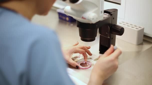 Ricerca medica in laboratorio. Laboratorio di inseminazione artificiale - Filmati d'archivio — Video Stock